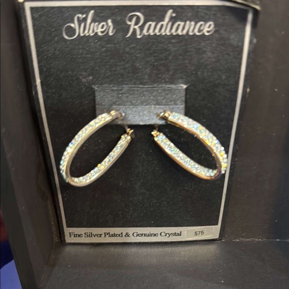 Crystal Hoop Earrings